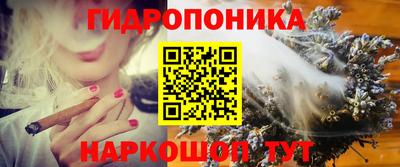 тгк Новокубанск
