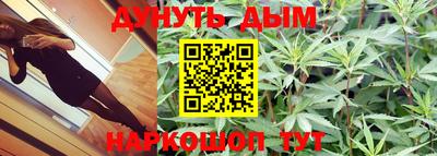 стафф Новодвинск