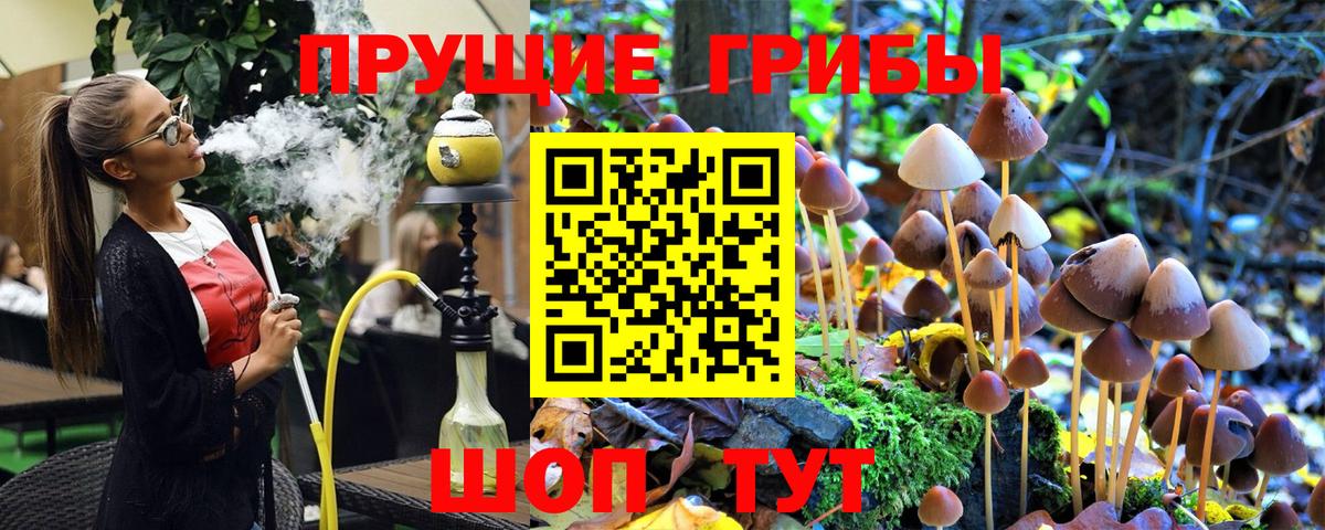 Псилоцибиновые грибы мицелий  Псилоцибиновые грибы Cubensis  Вход с VPN  купить наркоту  Сокол 